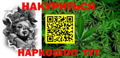 гашик Кандалакша