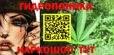 стафф Камышлов