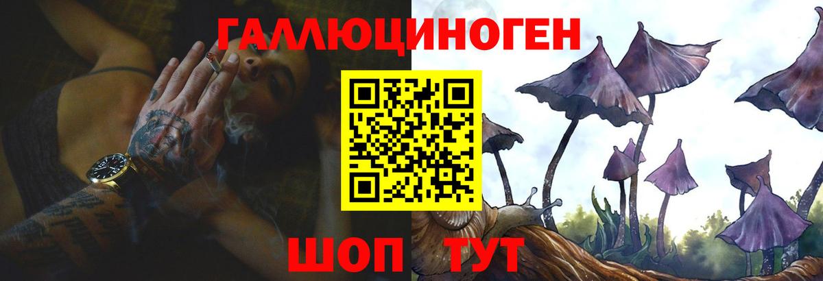 Псилоцибиновые грибы прущие грибы Шатура